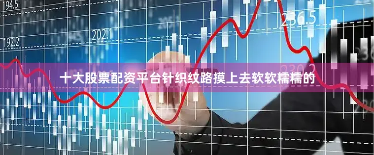十大股票配资平台针织纹路摸上去软软糯糯的