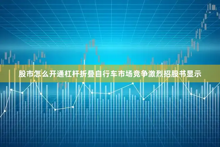 股市怎么开通杠杆　　折叠自行车市场竞争激烈　　招股书显示